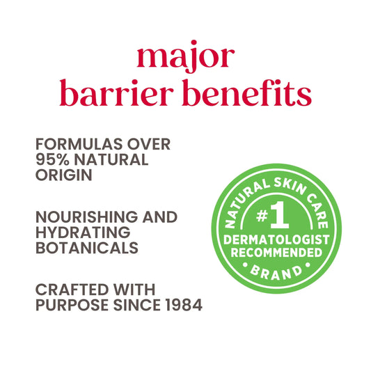 Burt's Bees Renewal Fragrance-Free Firming Moisturizing Face Cream with Natural Retinol Alternative – 1.8 oz - Vivareflex Online