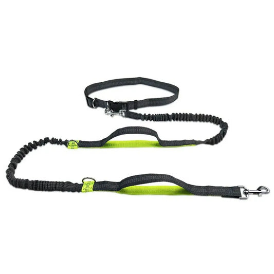 GlowBright Pet Leashes Vivareflex Online