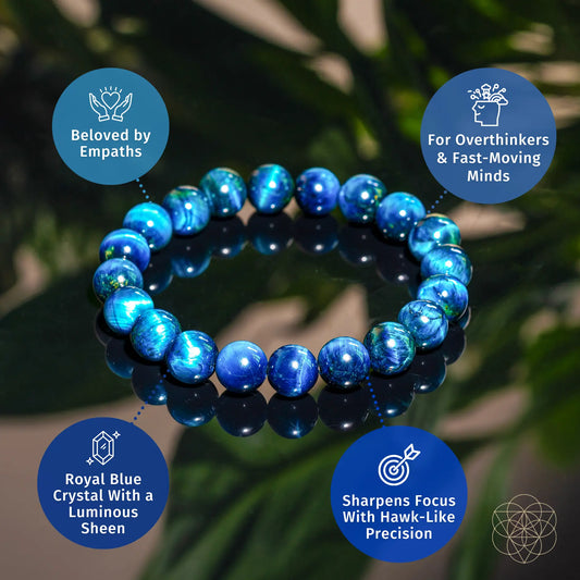 Hawk’s Focus – Royal Blue Tiger’s Eye Bracelet Conscious Items