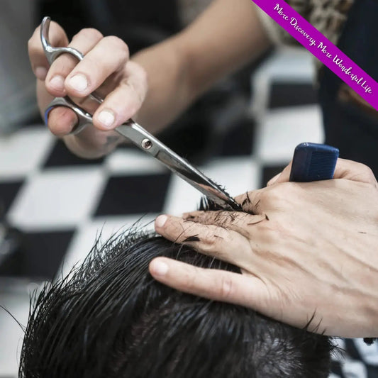 Professional 6.5-Inch Stainless Steel Hair Cutting Scissors with Comb - Vivareflex Online