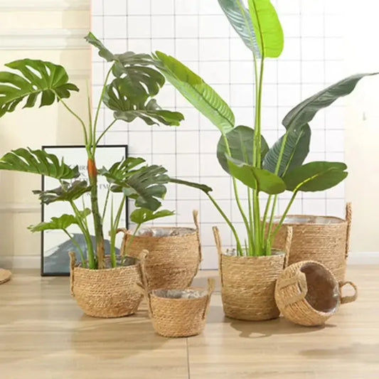 Seagrass Hanging Planter Basket Vivareflex Online