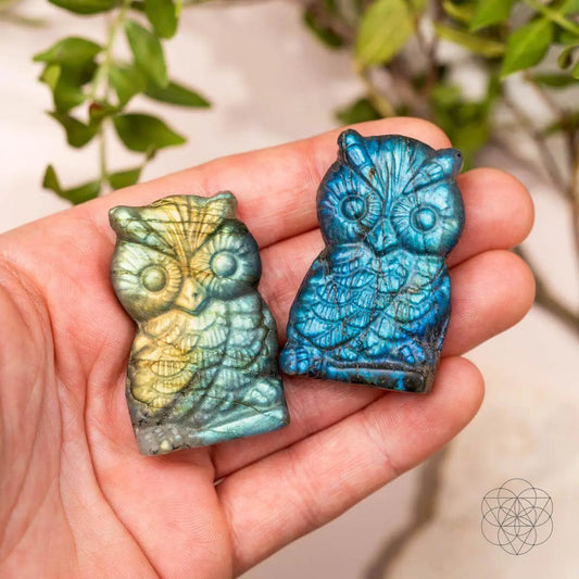 Token of Wisdom - Labradorite Owl Talisman Conscious Items