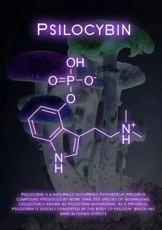 Vibrant Molecule Skyline Canvas Vivareflex Online