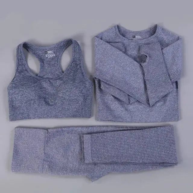 2/3PCS Seamless Women Workout Sportswear Vivareflex Online