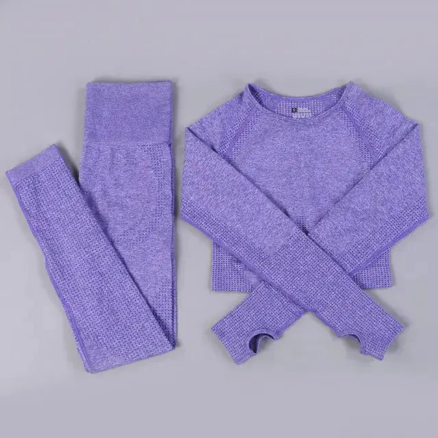 2/3PCS Seamless Women Workout Sportswear Vivareflex Online