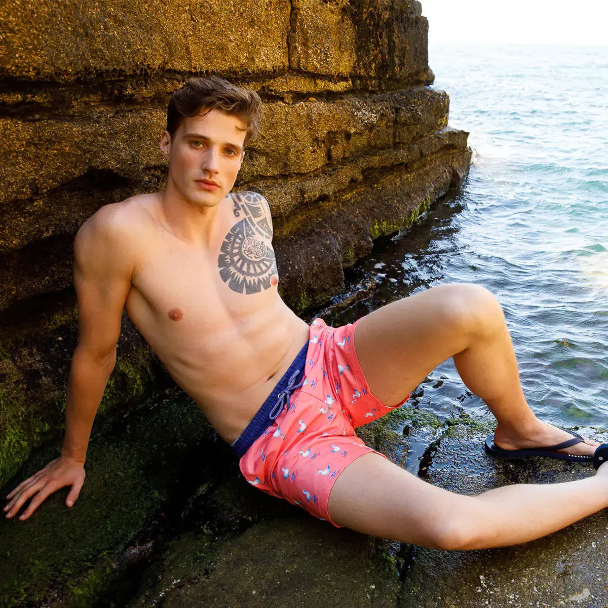 Anemoss Seagull Men Swim Trunk Vivareflex Online