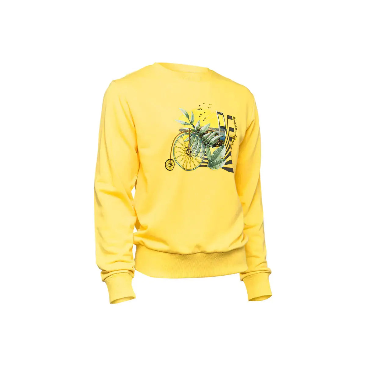 BiggDesign Nature Bicycle in Bosphorus Men Sweatshirt Vivareflex Online