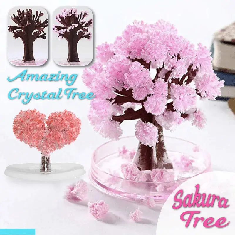 Blossom Magic Sakura Tree Kit Vivareflex Online