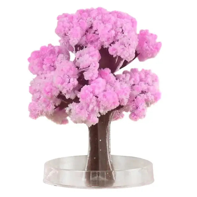 Blossom Magic Sakura Tree Kit Vivareflex Online