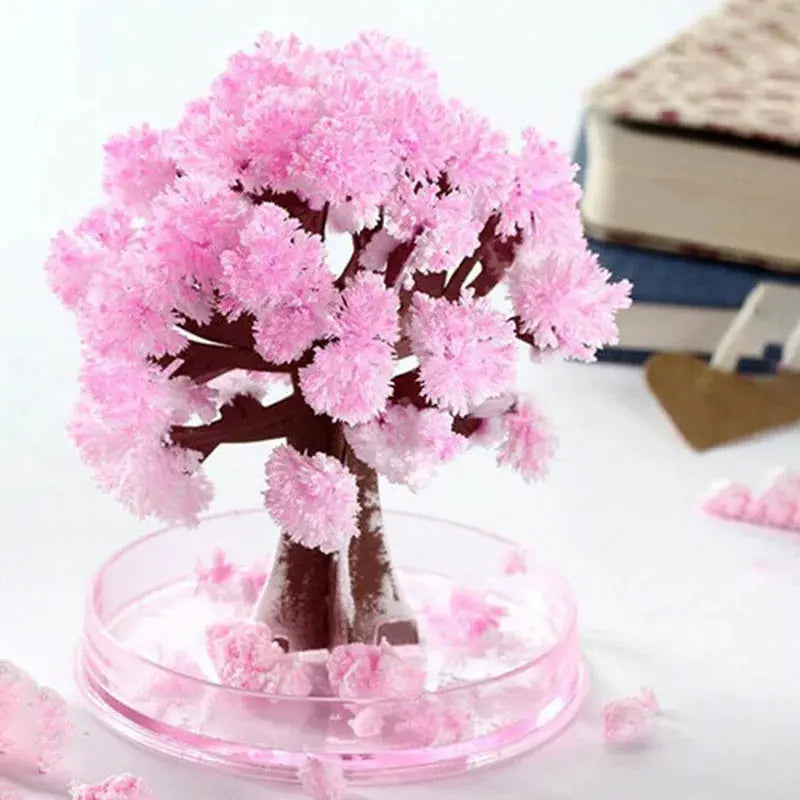 Blossom Magic Sakura Tree Kit Vivareflex Online