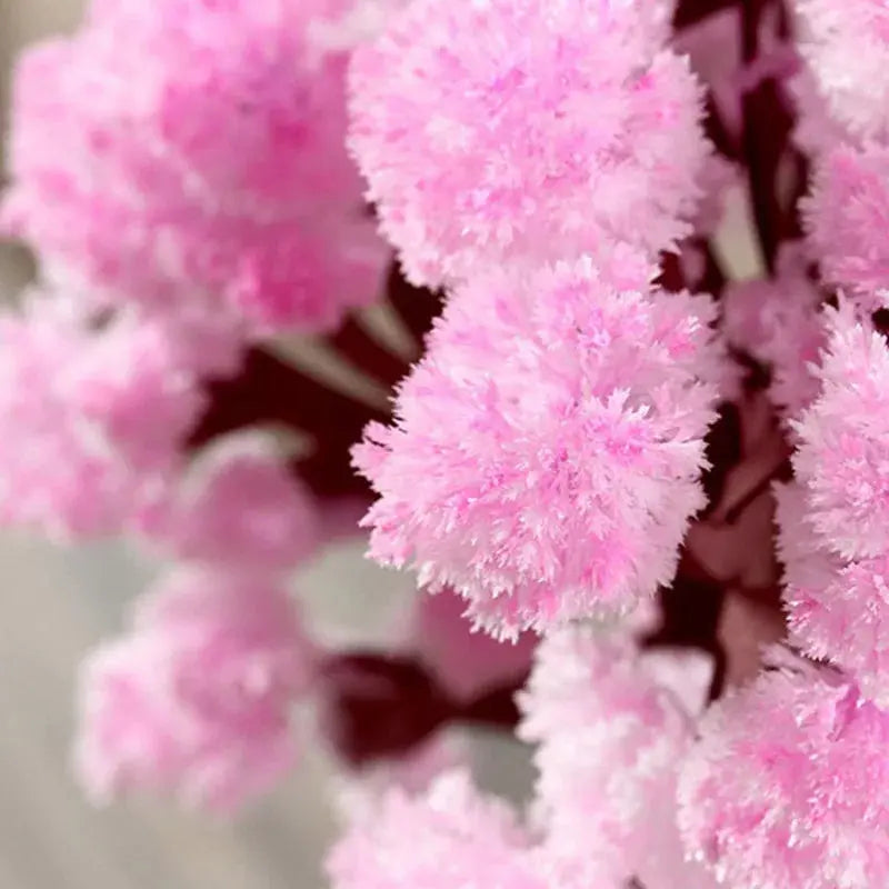 Blossom Magic Sakura Tree Kit Vivareflex Online