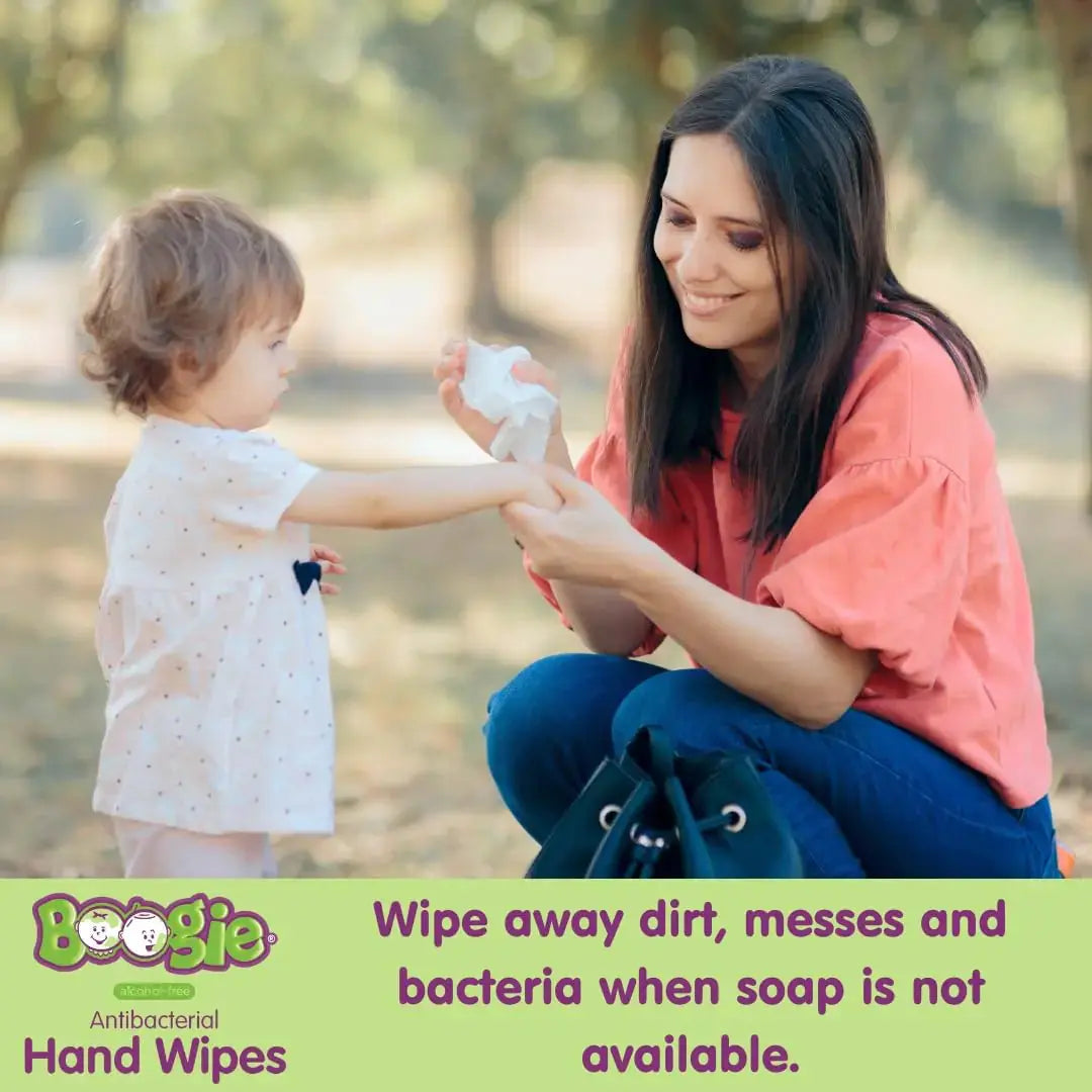 Boogie Antibacterial Hand Wipes - Alcohol-Free, Hypoallergenic & Moisturizing Aloe - Vivareflex Online