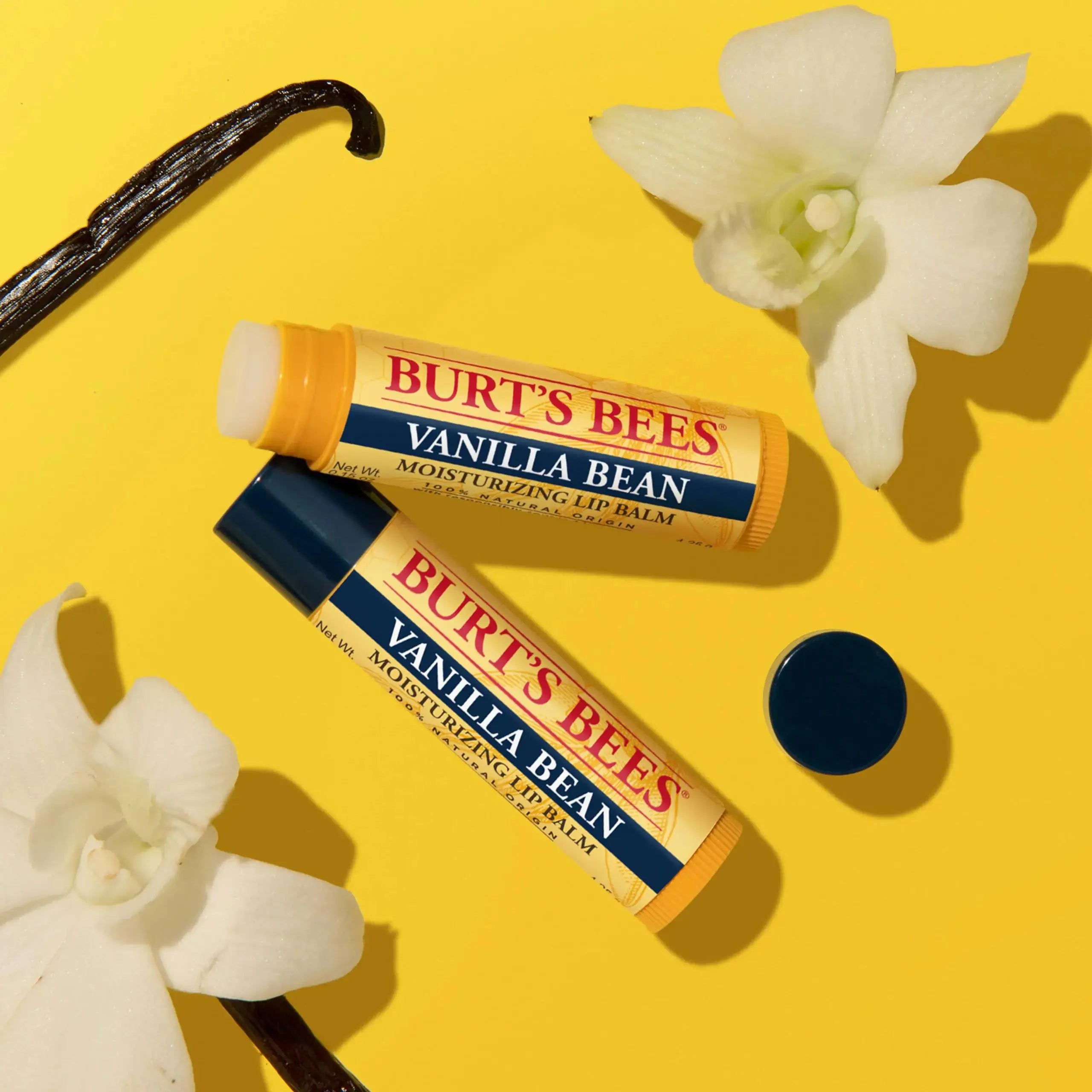 Burt's Bees Lip Balm - Vanilla Bean, Lip Moisturizer Responsibly_Vivareflex Online