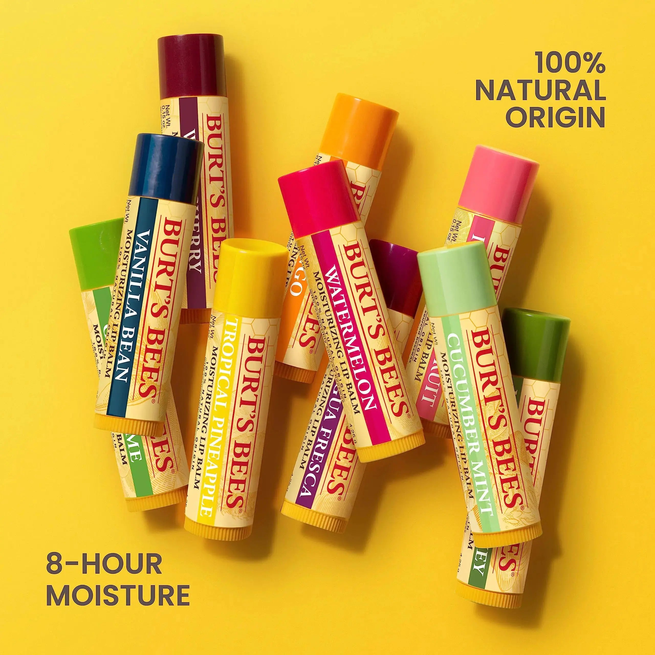 Burt's Bees, Lip Moisturizer With Responsibly Sourced Beeswax, Tint-Free_Vivareflex Online
