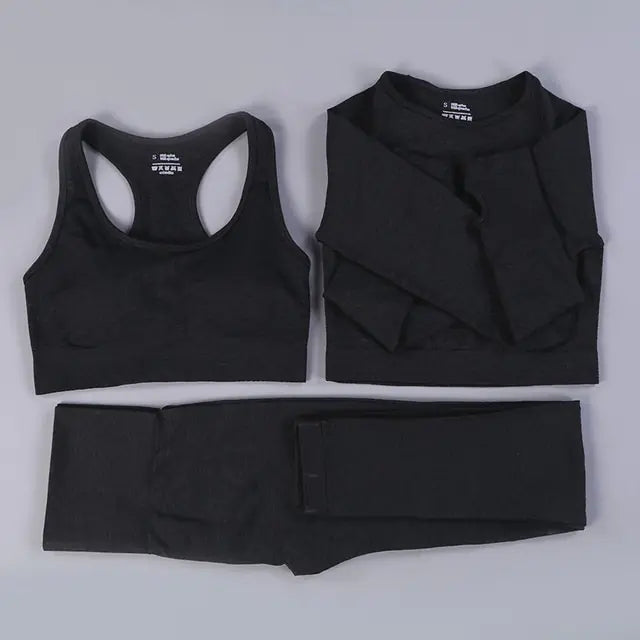 2/3PCS Seamless Women Workout Sportswear Vivareflex Online