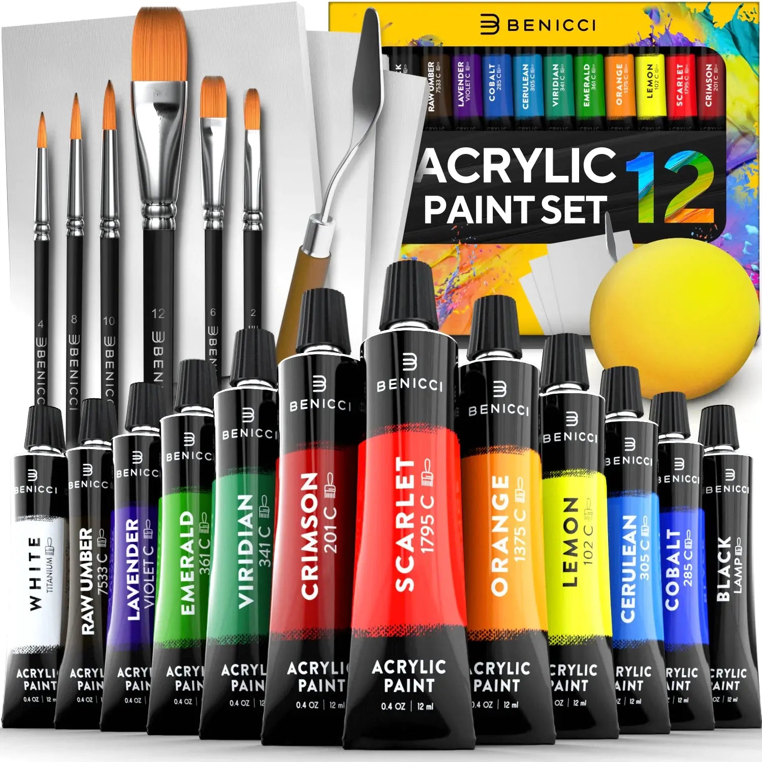 ColorSplash Acrylic Paint Set - 12 Vivid Colors with Brushes & Canvases Vivareflex Online