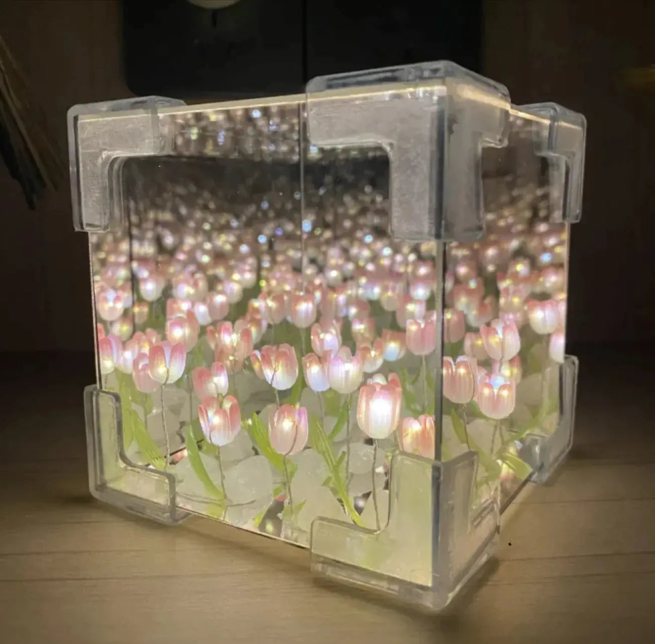 Craft & Shine Night Lamp Kit Vivareflex Online