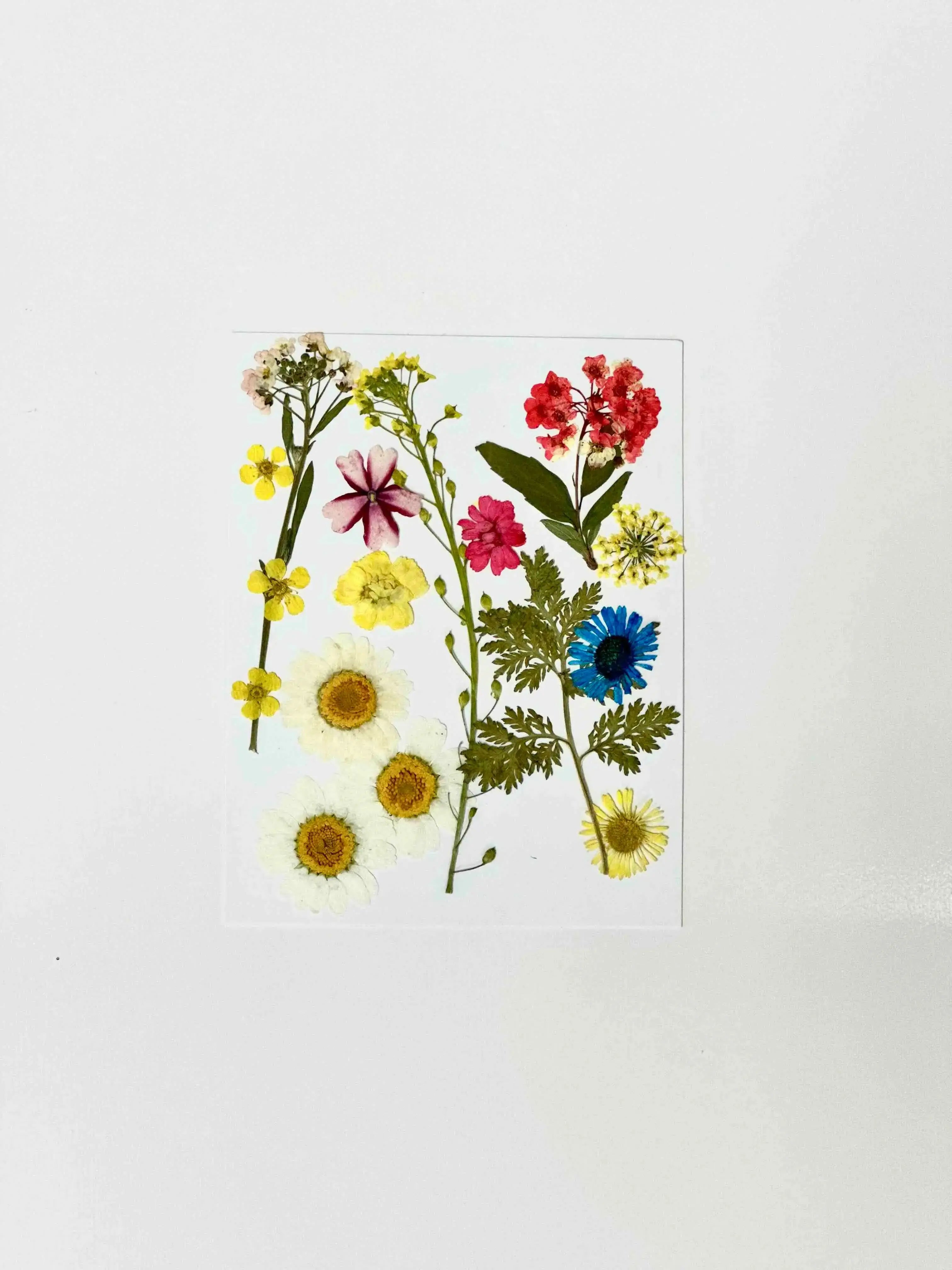 Crafty UV Resin Beginner Kit Vivareflex Online