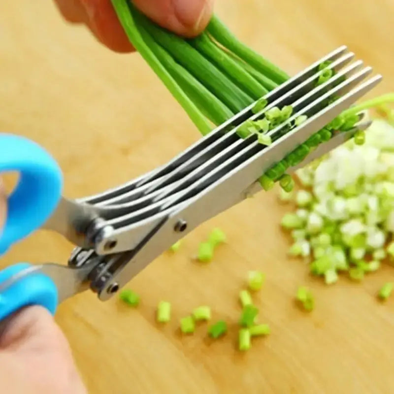 Culinary Pro Stainless Scissors Vivareflex Online
