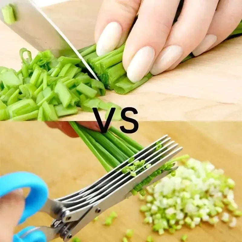 Culinary Pro Stainless Scissors Vivareflex Online