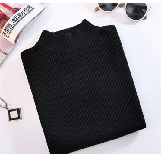 Wild Sweater Women Pullover Slim Fit Turtleneck Women Sweater Vivareflex Online