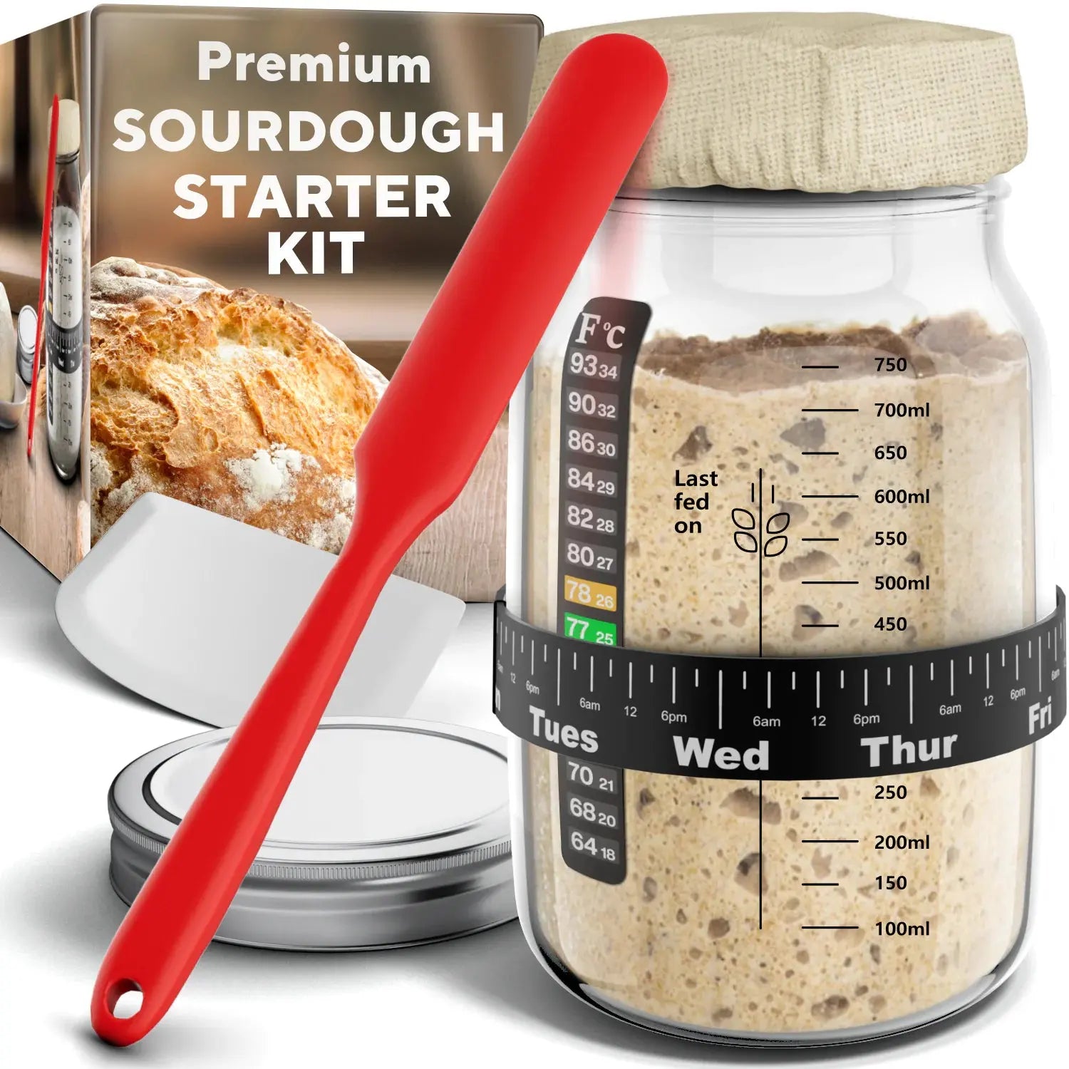Deluxe Sourdough Starter Set 31.8 oz - Complete Bread Making Kit Vivareflex Online