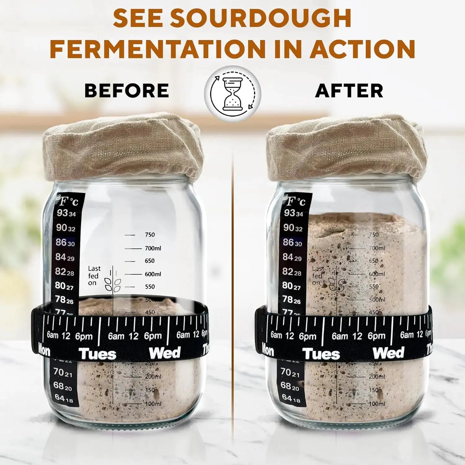 Deluxe Sourdough Starter Set 31.8 oz - Complete Bread Making Kit Vivareflex Online
