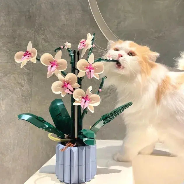 Elegant Orchid Builder Set Vivareflex Online