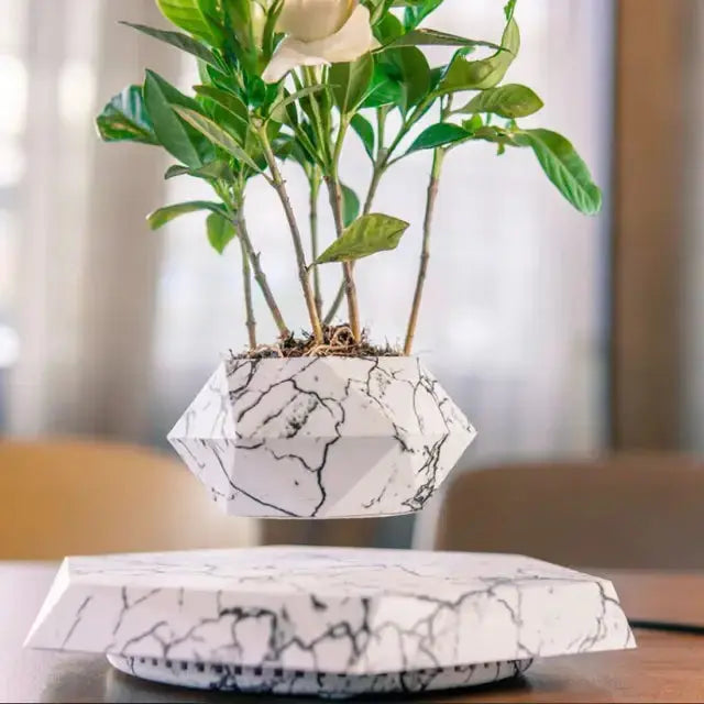 Floating Enchantment Planters Vivareflex Online