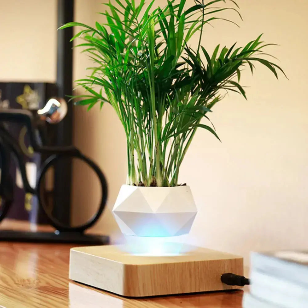 Floating Enchantment Planters Vivareflex Online