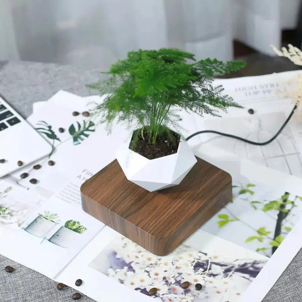 Floating Enchantment Planters - Vivareflex Online