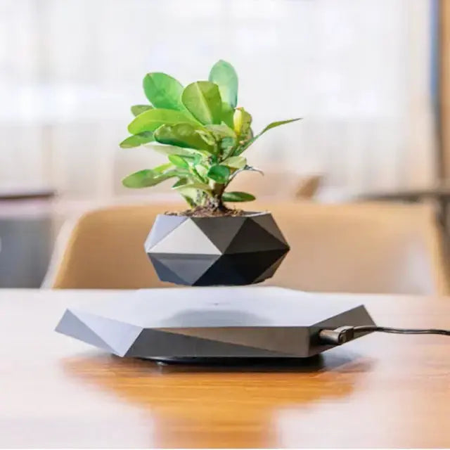 Floating Enchantment Planters - Vivareflex Online