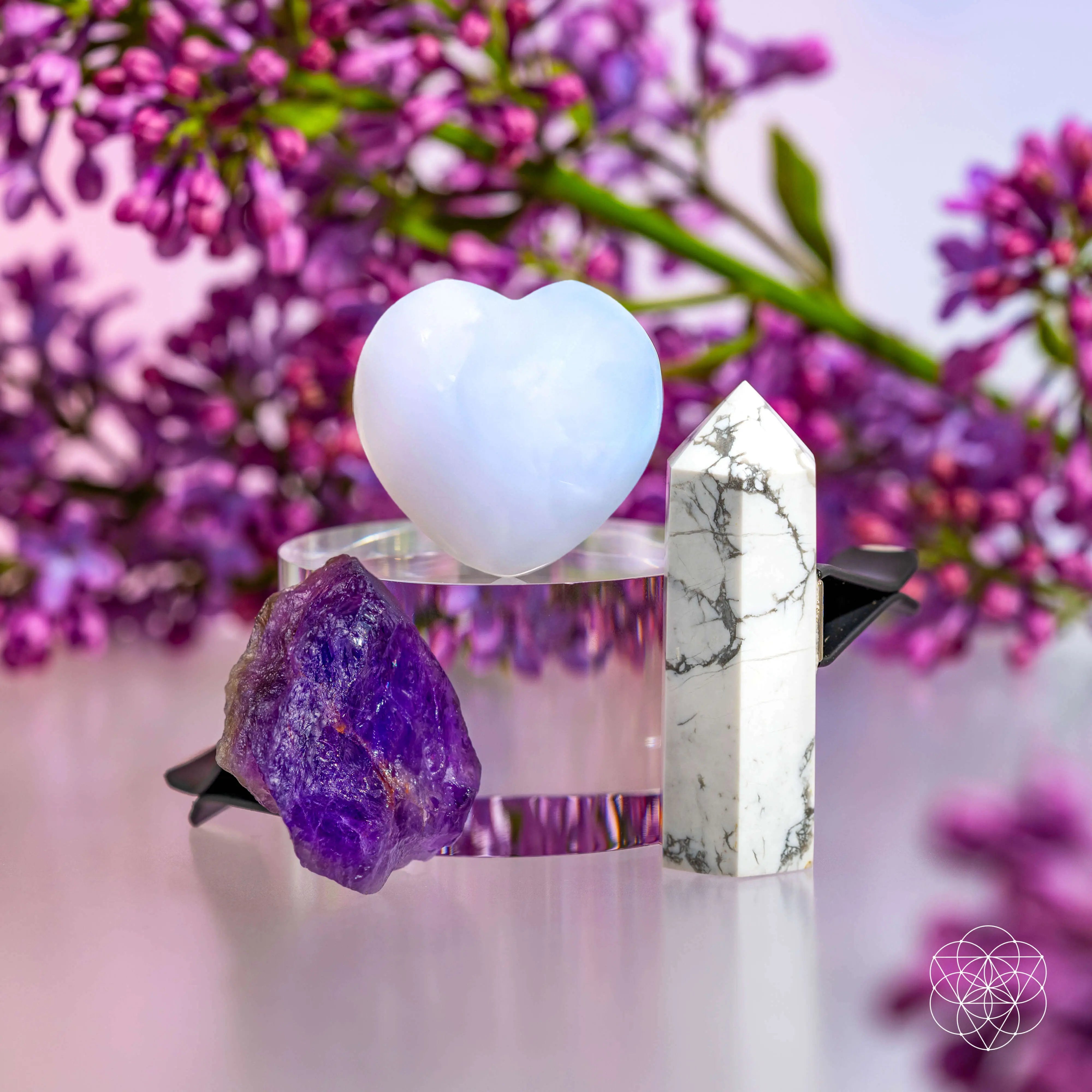 Focused Driver - Crystal Car Kit of Protection Conscious Items