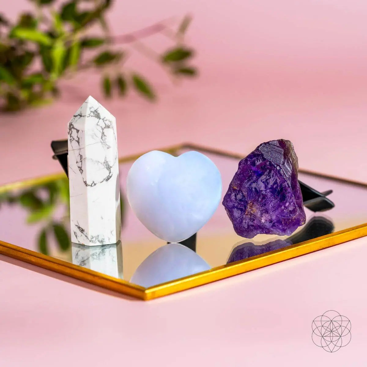 Focused Driver - Crystal Car Kit of Protection Conscious Items