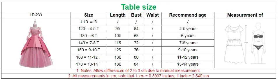 Girls Long Sleeve Lace Embroidery Dress Vivareflex Online