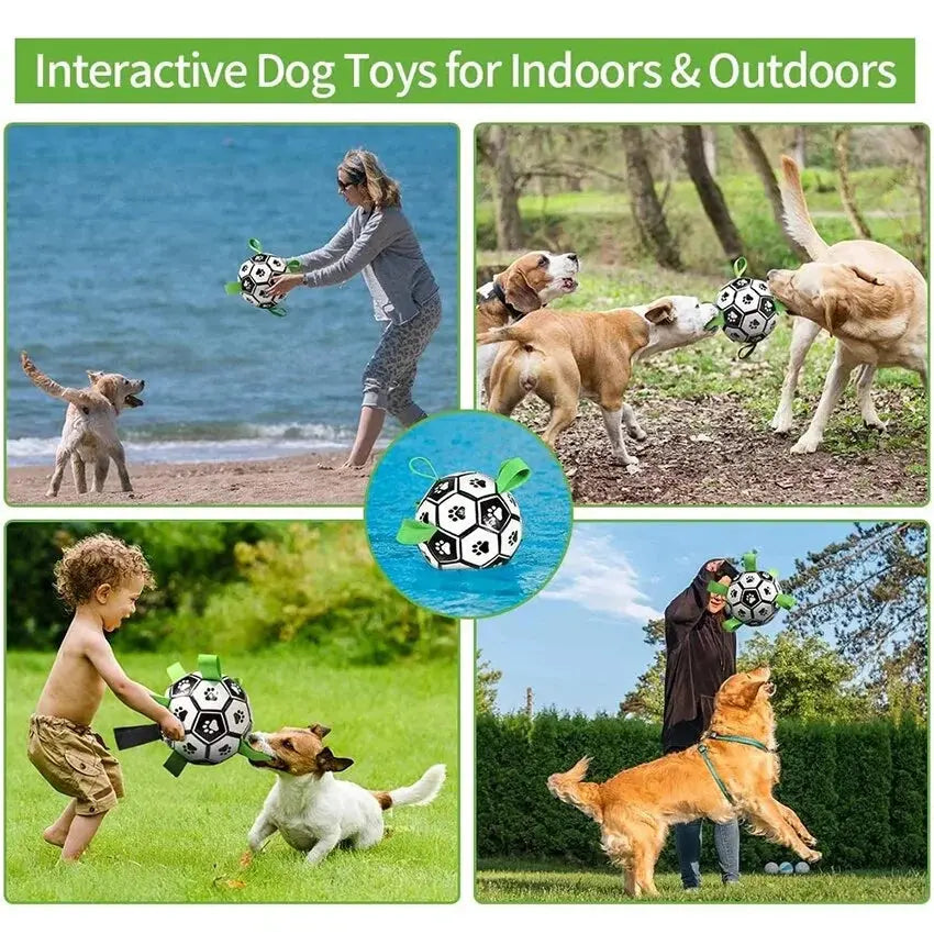 Interactive Pet Toy Vivareflex Online