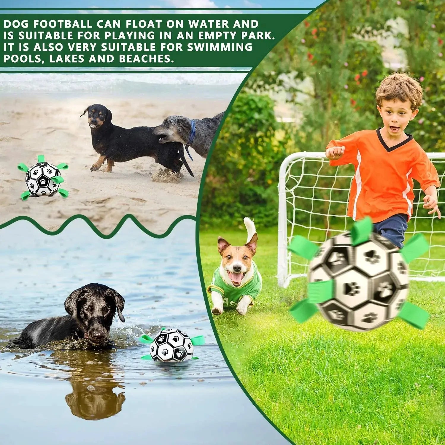 Interactive Pet Toy Vivareflex Online