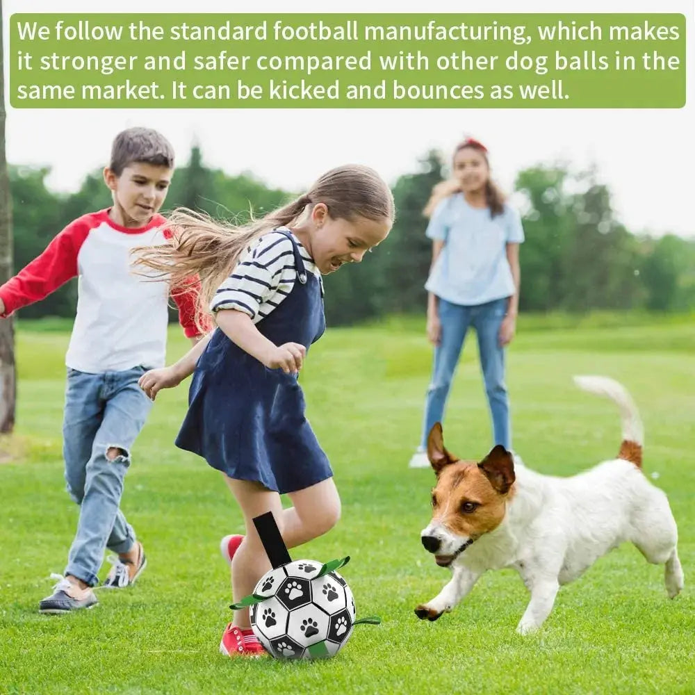 Interactive Pet Toy Vivareflex Online