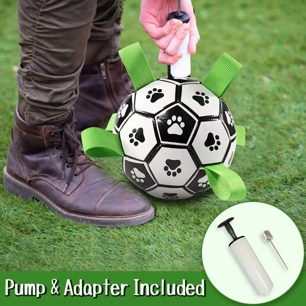 Interactive Pet Toy Vivareflex Online