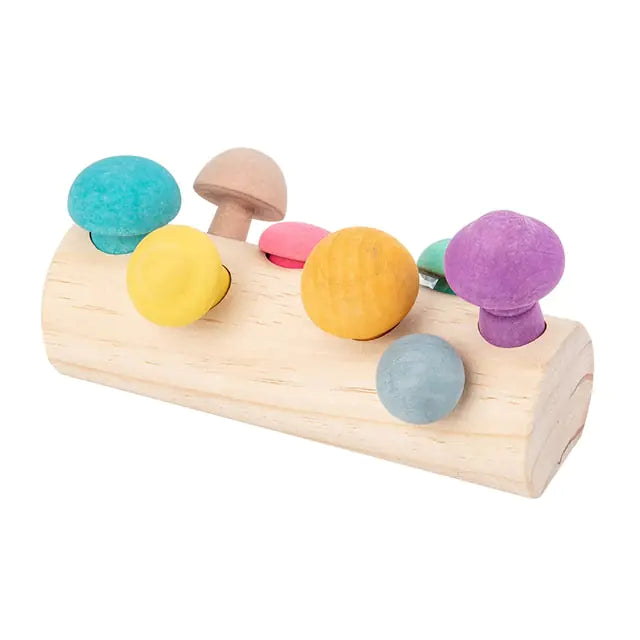 Jouets en bois pour tout-petits