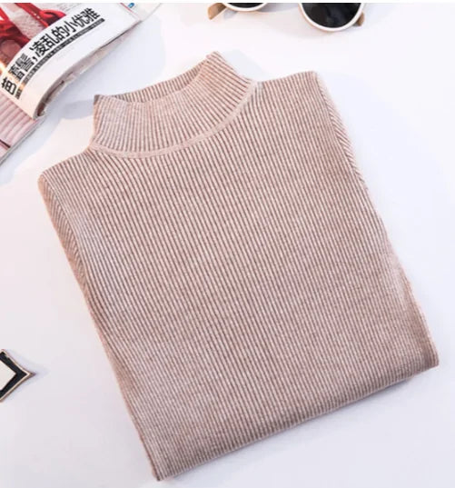 Wild Sweater Women Pullover Slim Fit Turtleneck Women Sweater Vivareflex Online