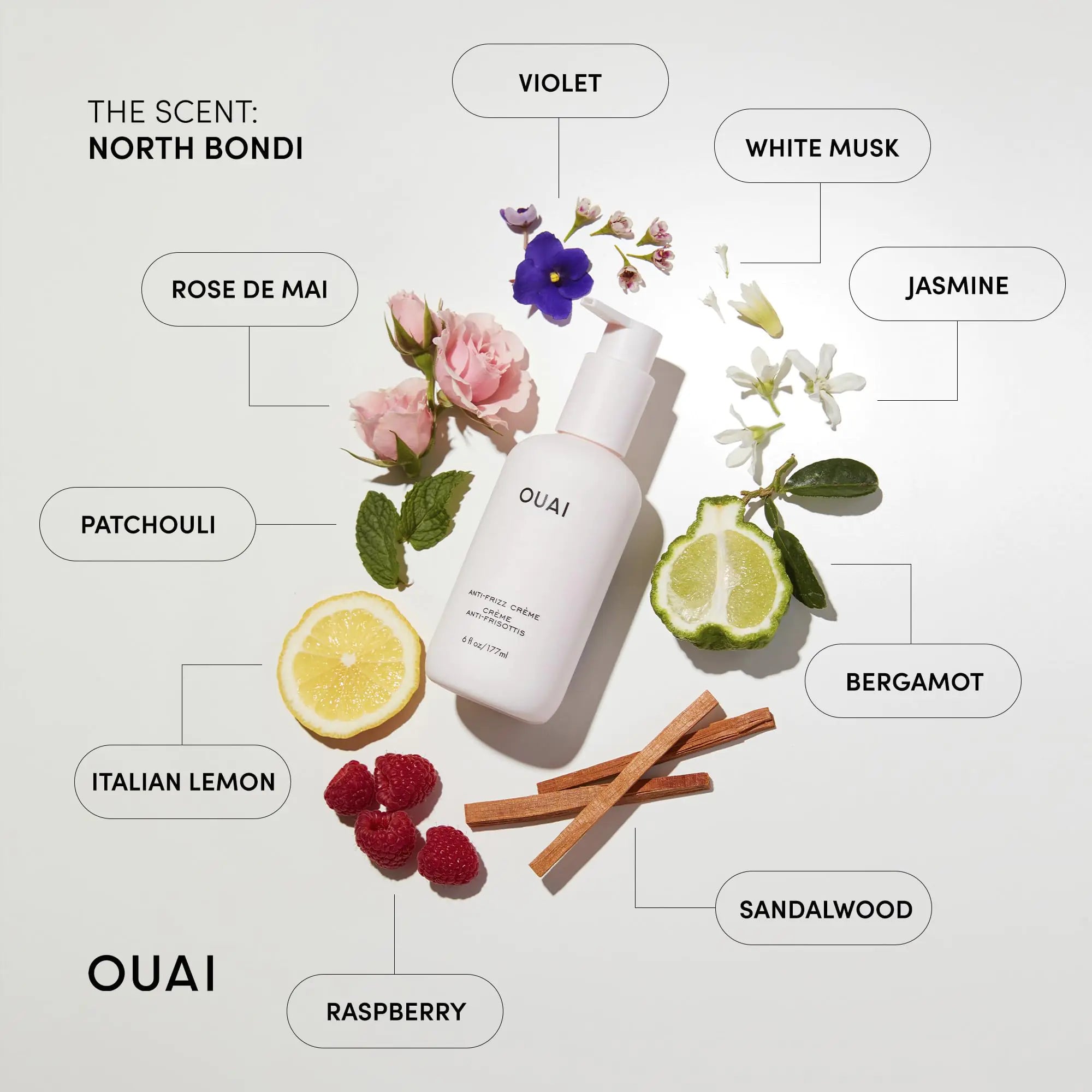 OUAI Anti Frizz Cream - Moisturizing Hair Cream with Frizz Control & Heat Protection - Provides Lasting Hydration with Jackfruit & Beetroot Extract - Paraben, Phthalate & Sulfate Free (6 oz) 6 Ounce (Pack of 1)