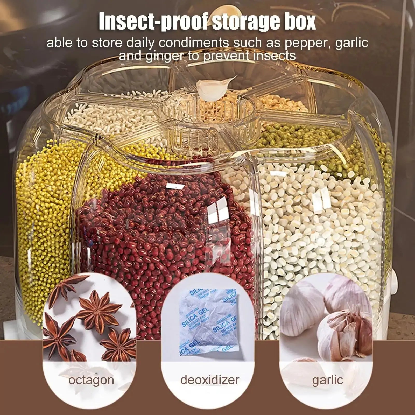 Large Kitchen Storage Container Vivareflex Online