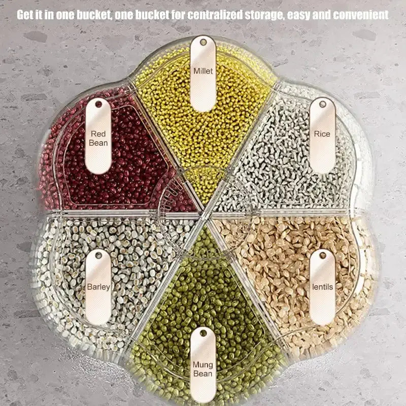 Large Kitchen Storage Container Vivareflex Online