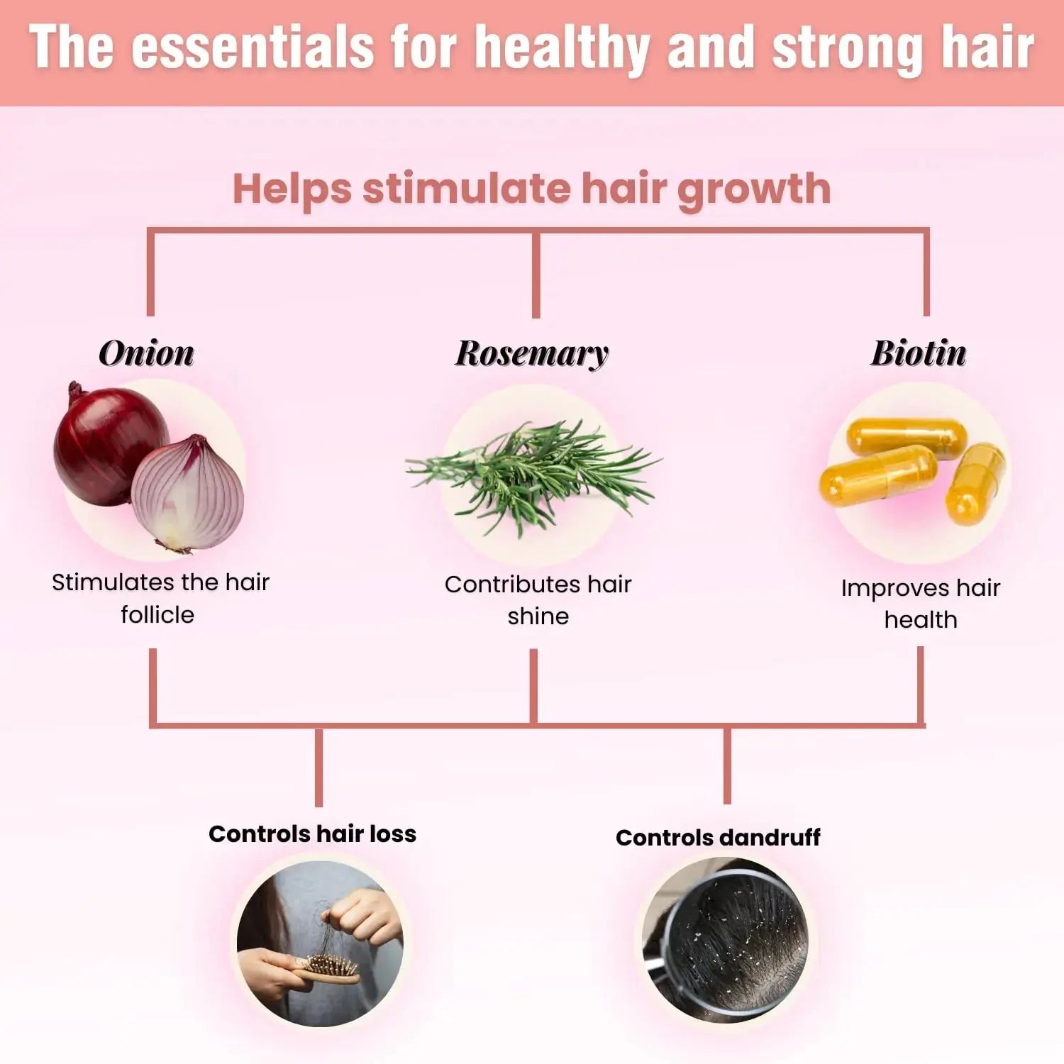 Onion Biotin & Rosemary Shampoo & Treatment - Stronger, Thicker, and Longer Hair - Vivareflex Online
