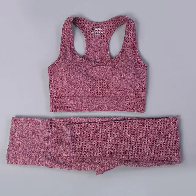 2/3PCS Seamless Women Workout Sportswear Vivareflex Online