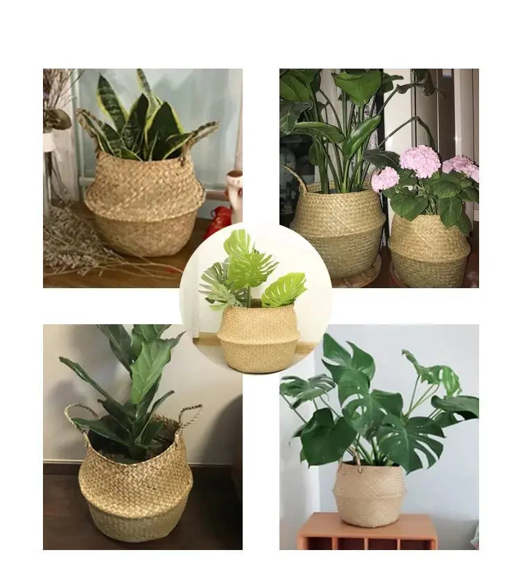 Seagrass Hanging Planter Basket Vivareflex Online