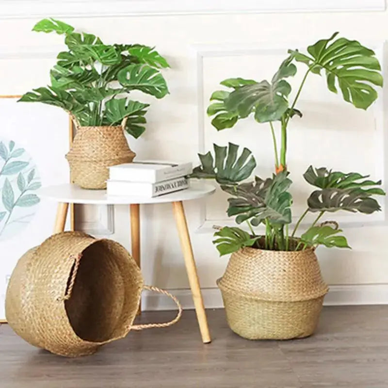 Seagrass Hanging Planter Basket Vivareflex Online
