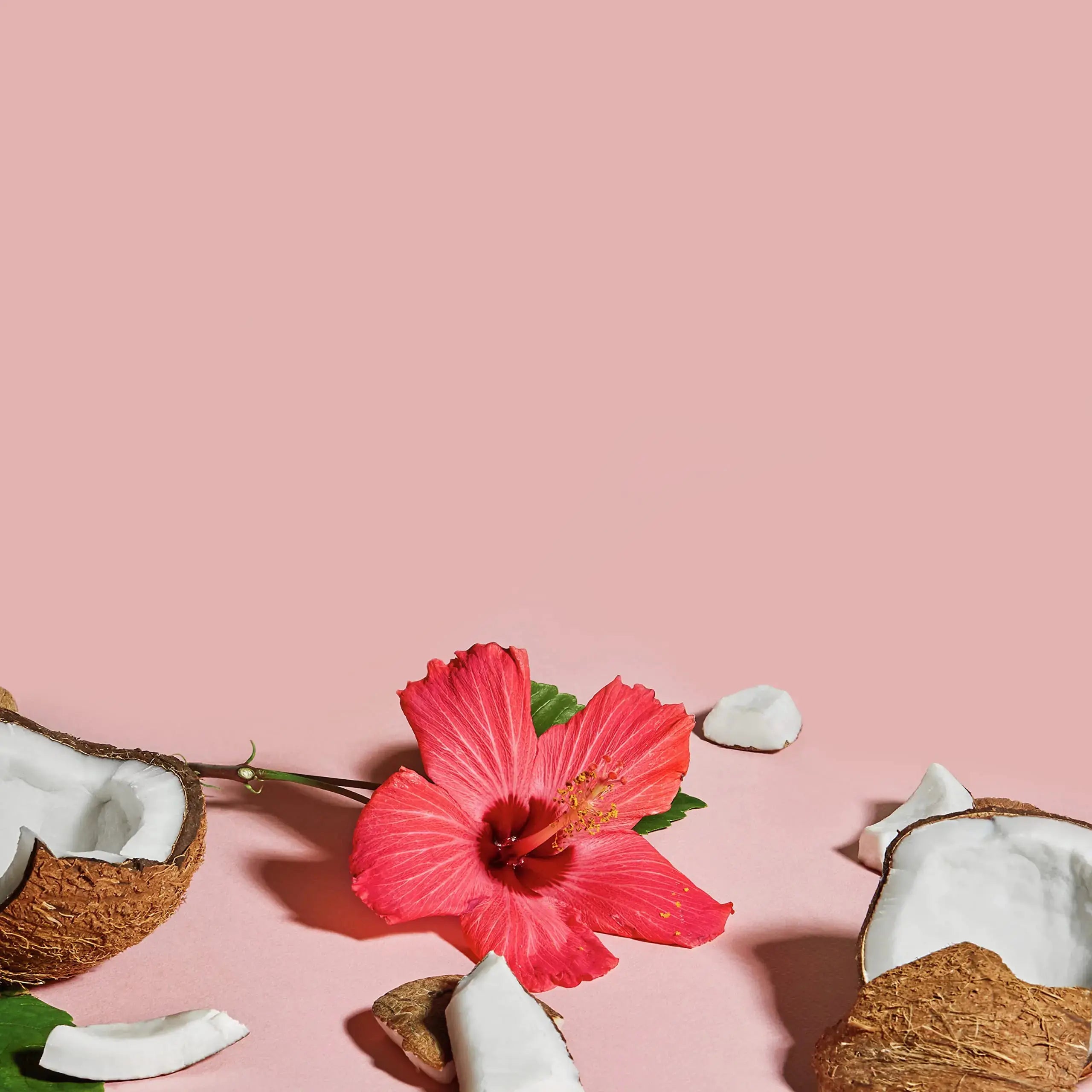SheaMoisture Defining Styling Gel For Thick, Curly Hair_Vivareflex_Online