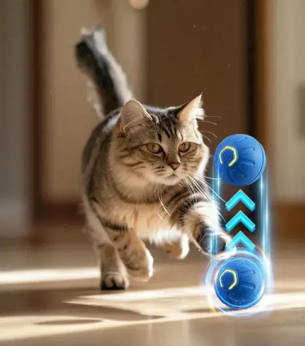 Smart Dog Toy Ball Vivareflex Online